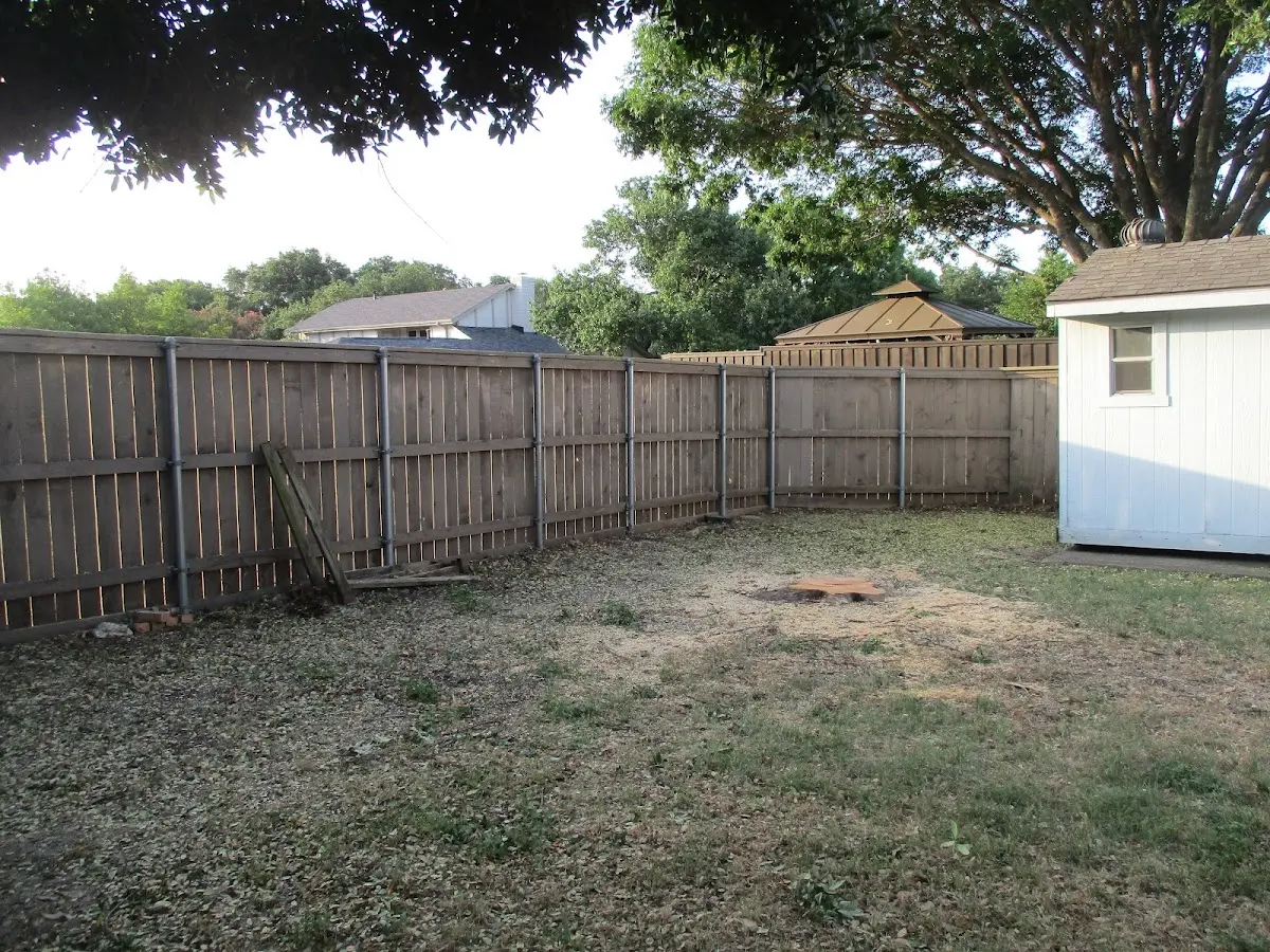 Cleared yard after professional tree removal in Kent